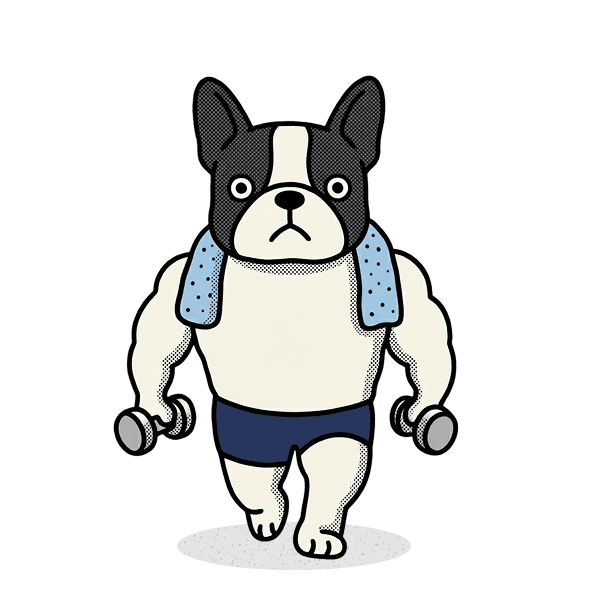 불꽃 불독쌤 캐릭터 이미지