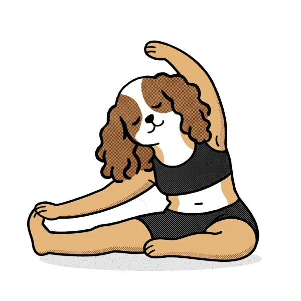 점성술 코커쌤 캐릭터 이미지